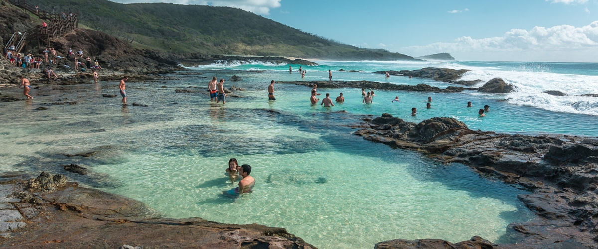day tours from noosa