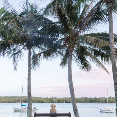 palm noosa river